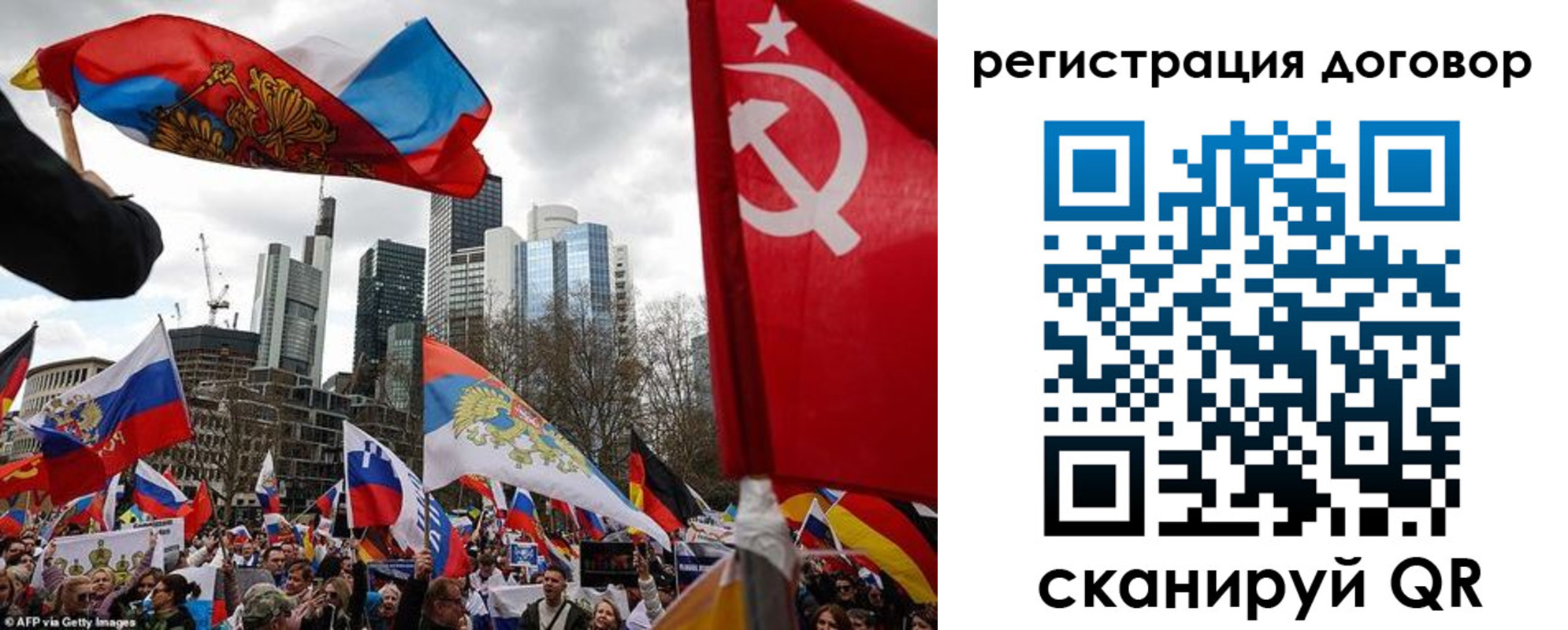 прописка гарантия в Сольцах
